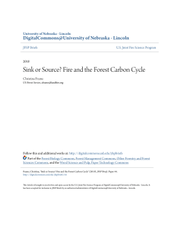 Sink or Source? Fire and the Forest Carbon Cycle