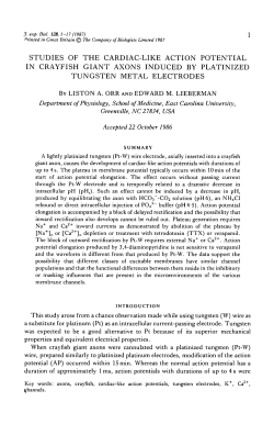 studies of the cardiac-like action potential in crayfish giant axons