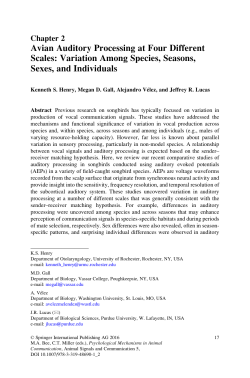 Avian Auditory Processing at Four Different Scales: Variation Among
