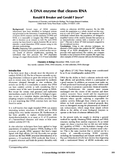A DNA enzyme that cleaves RNA
