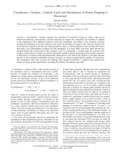 Cytochrome c Oxidase: Catalytic Cycle and Mechanisms of Proton