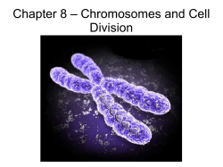 Chapter 8 &ndash; Chromosomes and Cell Division