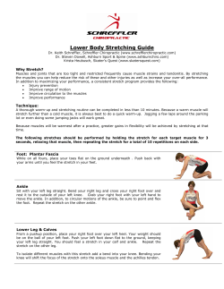 Lower Body Stretching Guide