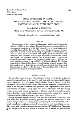 bone strength in small mammals and bipedal birds