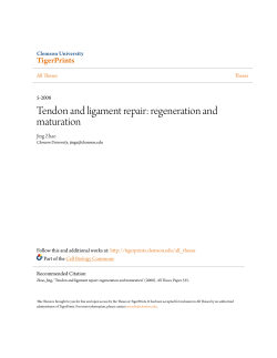 Tendon and ligament repair: regeneration and maturation