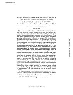 STUDIES ON THE METABOLISM OF AUTOTROPHIC BACTERIA