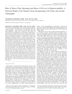 Role of Mossy Fiber Sprouting and Mossy Cell Loss in