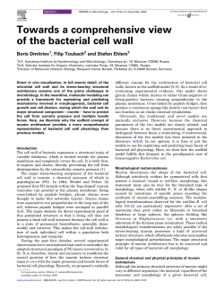Towards a comprehensive view of the bacterial cell wall