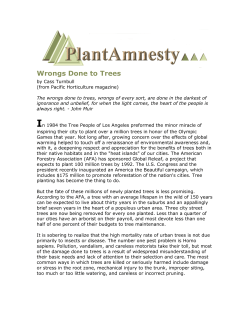 Wrongs Done to Trees