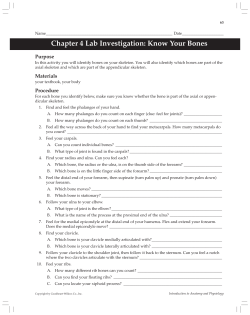 Chapter 4 Lab Investigation: Know Your Bones