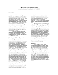 The effects of exercise on bone