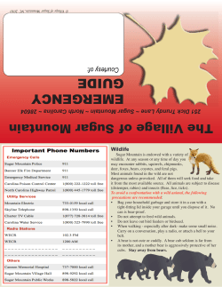 the Sugar Mountain Village