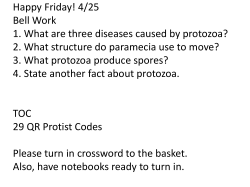 Happy Friday! 4/25 Bell Work 1. What are three diseases caused by