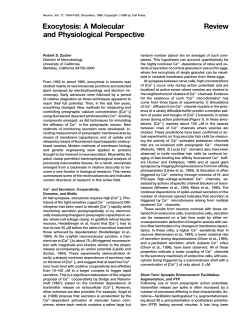 Exocytosis: A Molecular Review and Physiological Perspective