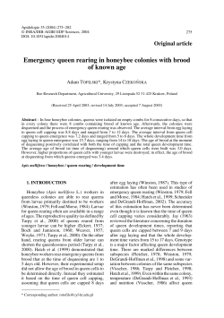 Emergency queen rearing in honeybee colonies with brood of