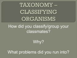 How did you classify/group your classmates? Why? What problems