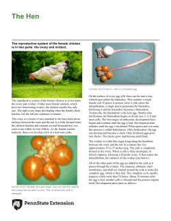 PDF - Penn State Extension