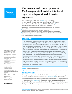 The genome and transcriptome of Phalaenopsis yield