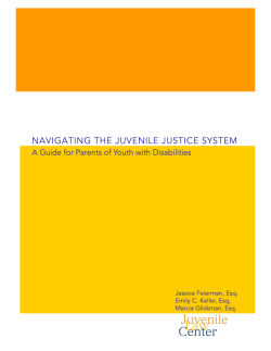 Navigating the Juvenile Justice System