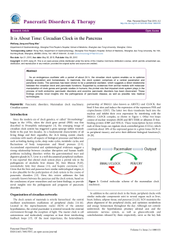 It is About Time: Circadian Clock in the Pancreas