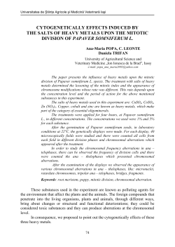 cytogenetically effects induced by the salts of heavy metals upon the