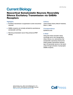 Neocortical Somatostatin Neurons Reversibly Silence Excitatory