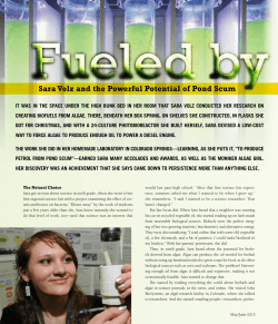 Sara Volz and the Powerful Potential of Pond Scum