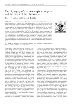 The phylogeny of arachnomorph arthropods and the origin of the