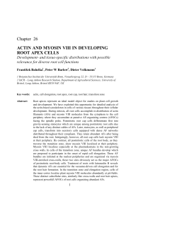 Chapter 26 ACTIN AND MYOSIN VIII IN DEVELOPING ROOT APEX