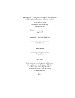 Segregation of Protein Synthesis Between the Cytoplasm and