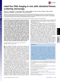 Label-free DNA imaging in vivo with stimulated Raman