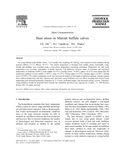 Heat stress in Murrah buffalo calves