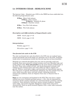 ICHmc2 Site Series Flowchart