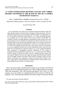 in vitro interactions between oxygen and carbon dioxide transport in