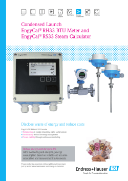 Endress+Hauser InDesign CS2 Template