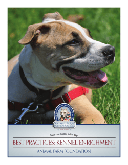 Best Practices: Kennel Enrichment