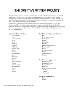 The Digestive System Project