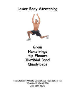 Lower Body Stretching Groin Hamstrings Hip Flexors Iliotibial Band