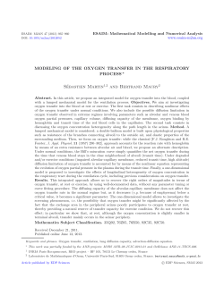 Modeling of the oxygen transfer in the respiratory process&lowast;