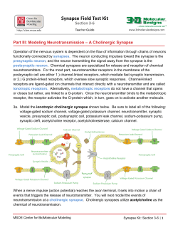 Teacher Key - MSOE Center for BioMolecular Modeling