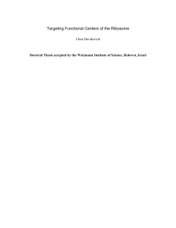 Targeting Functional Centers of the Ribosome