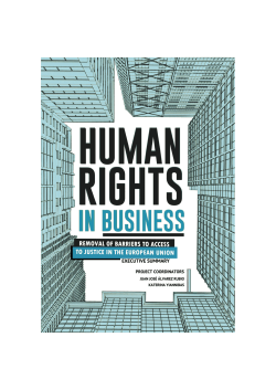 Executive Summary - Human Rights In Business