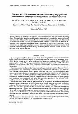 Characteristics of Extracellular Protein Production by