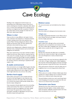 Cave Ecology - Tasmania Parks and Wildlife Service