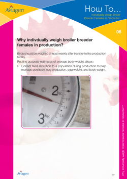 6. Individually Weigh Broiler Breeder Females in Production