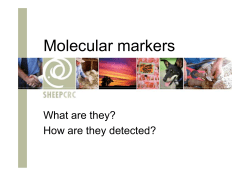 Molecular markers