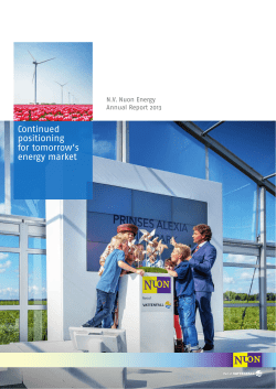 Nuon Annual Report 2013