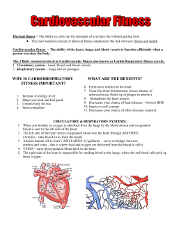 Cardiovascular Fitness Lecture Notes
