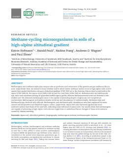 Methane-cycling microorganisms in soils of a high