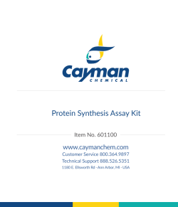 Protein Synthesis Assay Kit